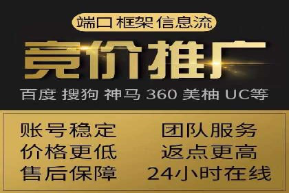 SEO与SEM优化案例：打造行业领先品牌